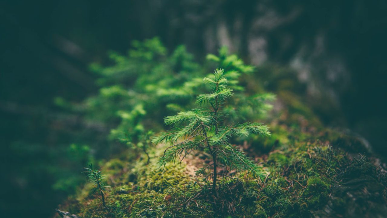 virage-environnemental
